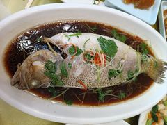 -大顺堂食府(牛街店)