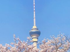 -中央广播电视塔