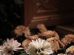 -杭州植物园