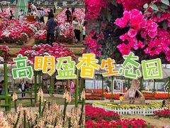-盈香心动乐园