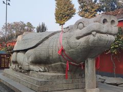 -正定古城-开元寺