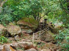 -天门沟九州驿站树上汤泉