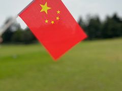 -顾村公园