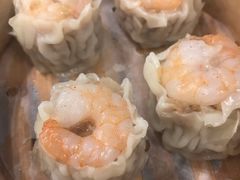 -红虎饺子房(维纳斯城堡)