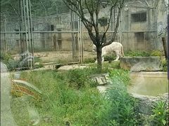 -黔灵山公园