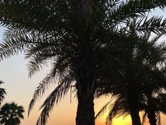 -海堤纪念公园