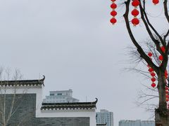 -洋湖国家湿地公园