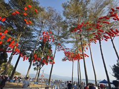 -深圳湾公园(南山区)