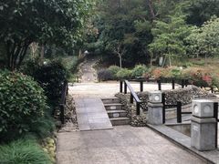 -三江森林温泉度假区