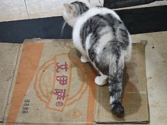 -杨家粉蒸肉(洒金桥店)