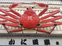 -蟹道乐(道顿堀本店)