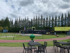 -黄海国家森林公园