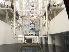 -琴岛之星摩天轮