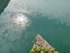 -龙津风雨桥