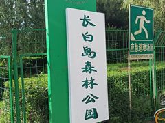 -长白岛森林公园