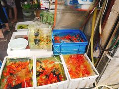 -万商花鸟市场