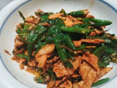 湘村黑猪辣椒炒肉-壹盏灯(惠农店)