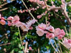 -静安雕塑公园