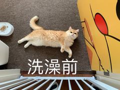 -FAELING PETS美天灵宠物(富力广场店)