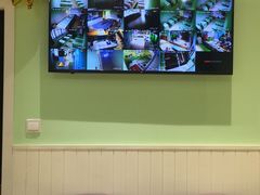 -学知乐教育·幼小衔接·小学科辅导(嘉定镇校区)