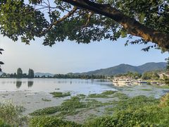 -东钱湖旅游度假区