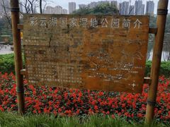 -重庆彩云湖湿地公园