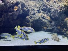 -南昌融创海世界