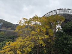 -福道
