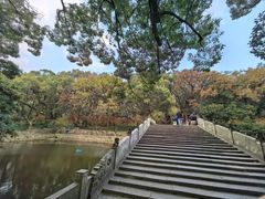 -普陀山风景名胜区-法雨禅寺