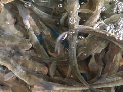 -富港会·海鲜酒楼(墟沟店)