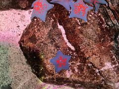 -沈阳海洋探索中心