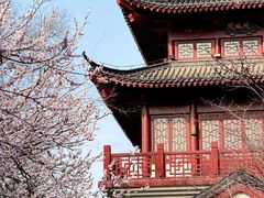 -堤角公园