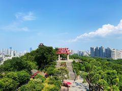 -黄鹤楼公园(黄鹤楼)