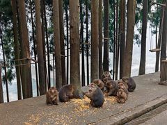 -太阳湾风景区
