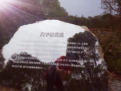 -渤公岛生态公园