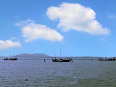 -贡湖湾湿地公园