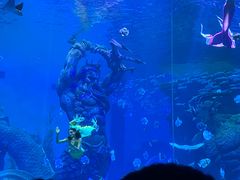 -波塞冬旅游度假区