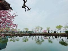 -无锡蠡湖国家湿地公园-蠡园