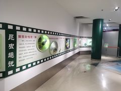 -上海昆虫博物馆