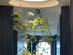 -金春禧(世茂国际广场店)