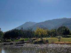 -西昌邛海湿地