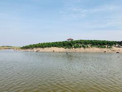 -南大港湿地风景区