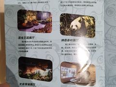 -陕西自然博物馆