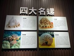 -贝壳王国博物馆