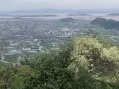-羊山湖公园