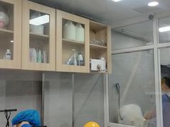 -宠福鑫康馨动物医院·骨科·眼科