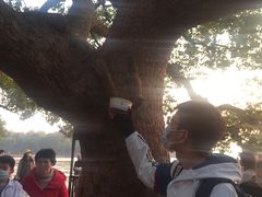 -西湖外事游船(湖滨二公园外事游船码头)