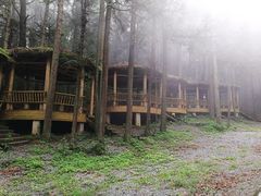 -武陵山森林公园