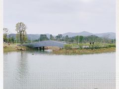 -广州市流溪河国家森林公园