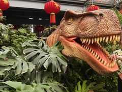 -沈阳植物园